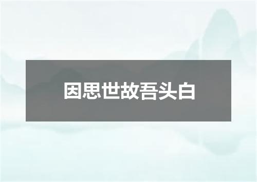 因思世故吾头白
