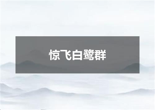 惊飞白鹭群