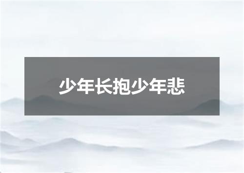 少年长抱少年悲