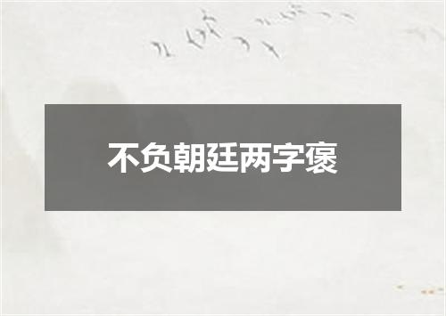 不负朝廷两字褒