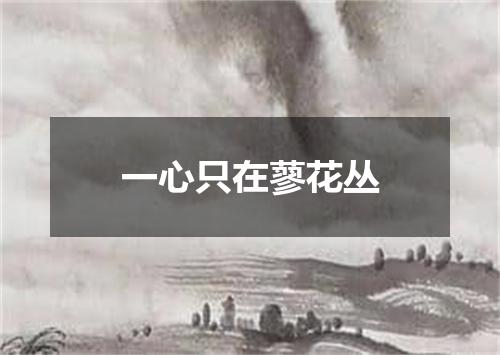 一心只在蓼花丛