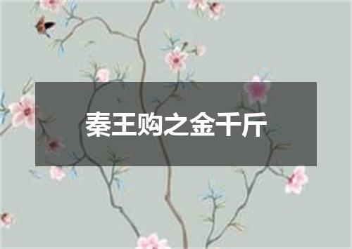秦王购之金千斤