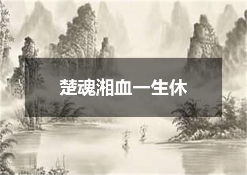 楚魂湘血一生休
