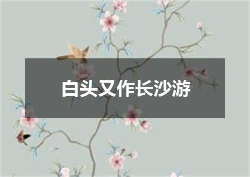 白头又作长沙游