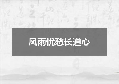风雨忧愁长道心