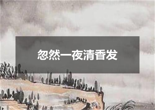 忽然一夜清香发