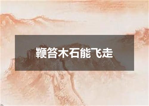 鞭笞木石能飞走