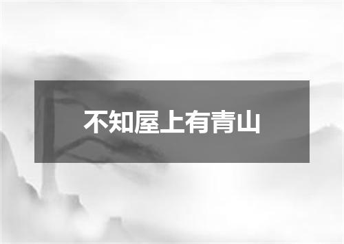 不知屋上有青山