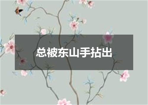 总被东山手拈出