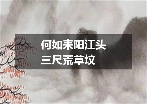 何如耒阳江头三尺荒草坟