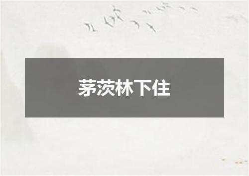 茅茨林下住