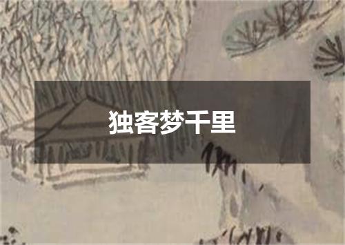 独客梦千里