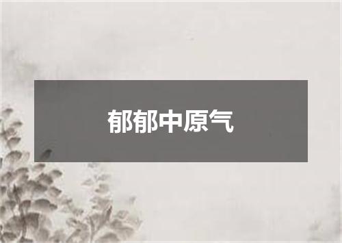 郁郁中原气