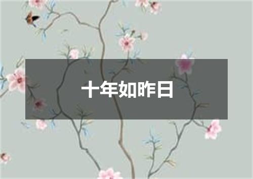 十年如昨日