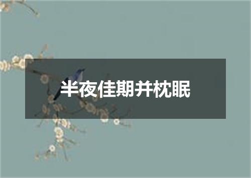 半夜佳期并枕眠