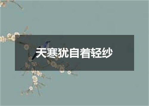 天寒犹自着轻纱
