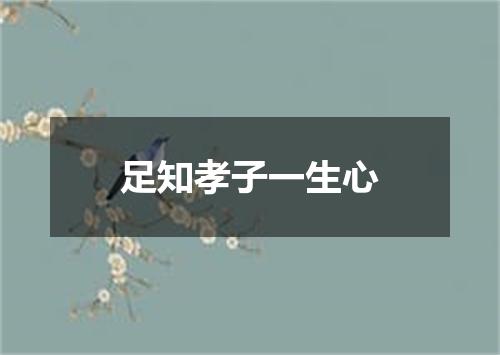 足知孝子一生心