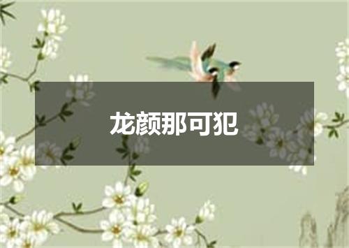 龙颜那可犯