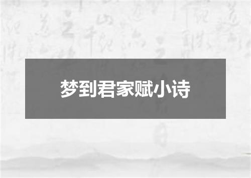 梦到君家赋小诗