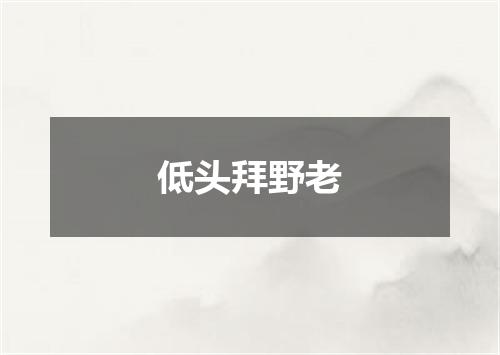低头拜野老