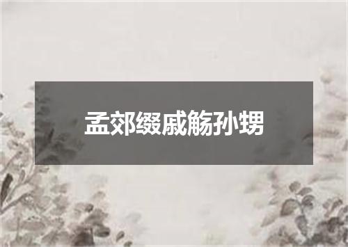 孟郊缀戚觞孙甥