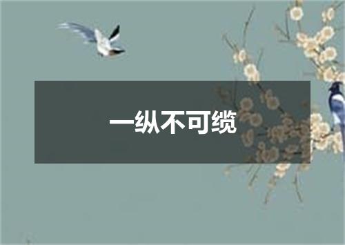 一纵不可缆