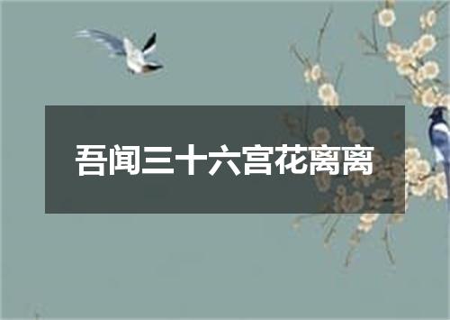 吾闻三十六宫花离离