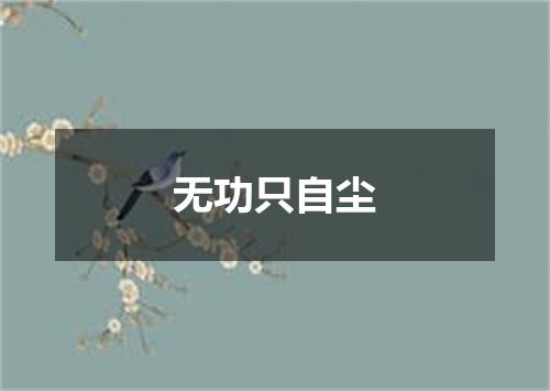 无功只自尘