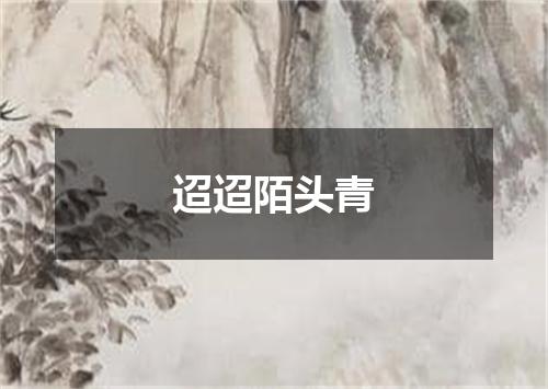 迢迢陌头青