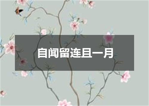 自闻留连且一月