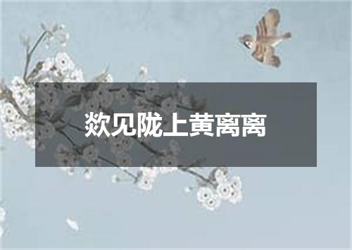 欻见陇上黄离离