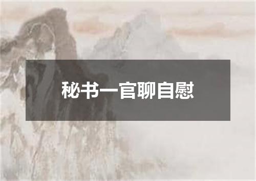 秘书一官聊自慰