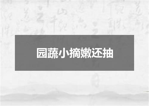 园蔬小摘嫩还抽