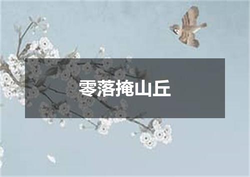 零落掩山丘