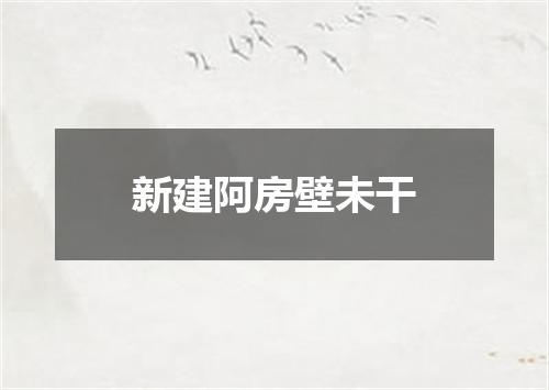 新建阿房壁未干