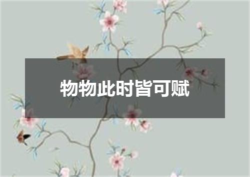 物物此时皆可赋