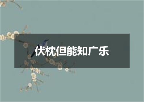 伏枕但能知广乐