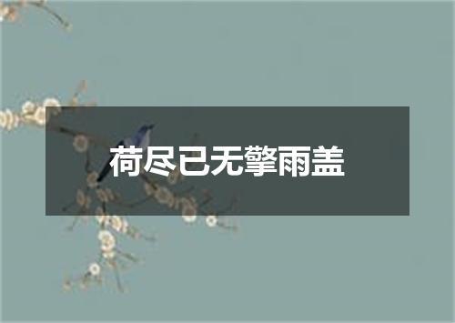 荷尽已无擎雨盖