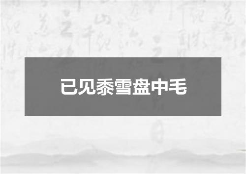 已见黍雪盘中毛