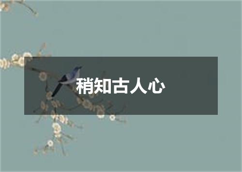 稍知古人心