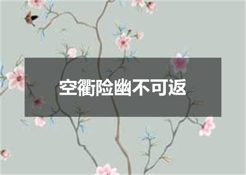 空衢险幽不可返