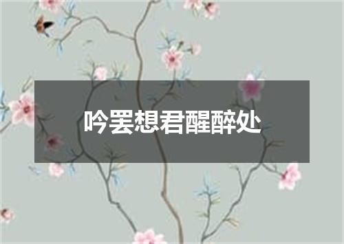 吟罢想君醒醉处