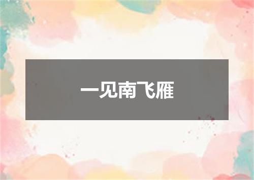 一见南飞雁
