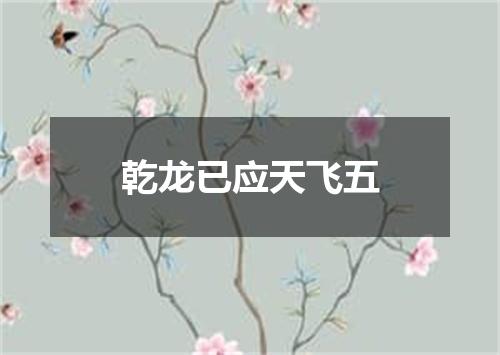 乾龙已应天飞五