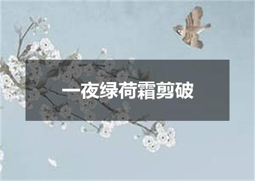 一夜绿荷霜剪破