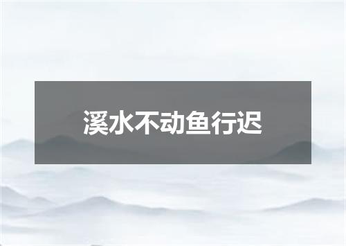 溪水不动鱼行迟