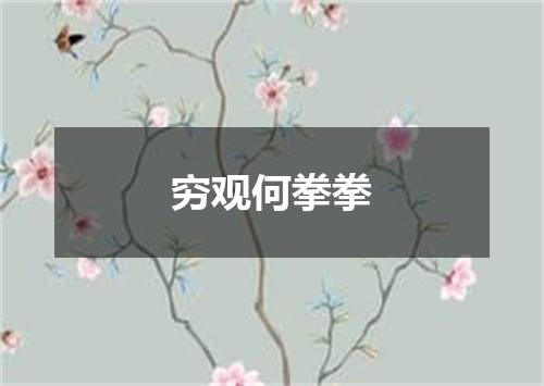 穷观何拳拳