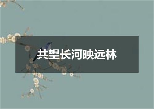 共望长河映远林