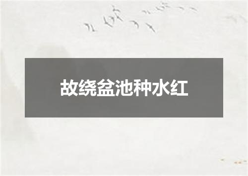故绕盆池种水红