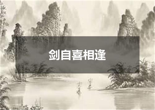剑自喜相逢
